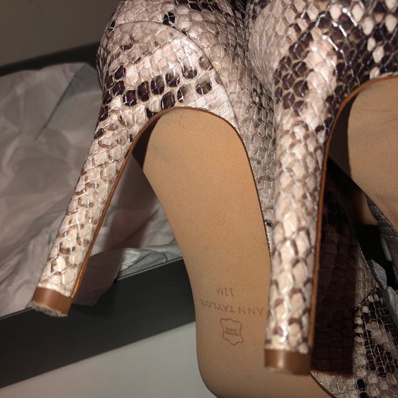Ann Taylor Snakeprint Pumps - Picture 3 of 5